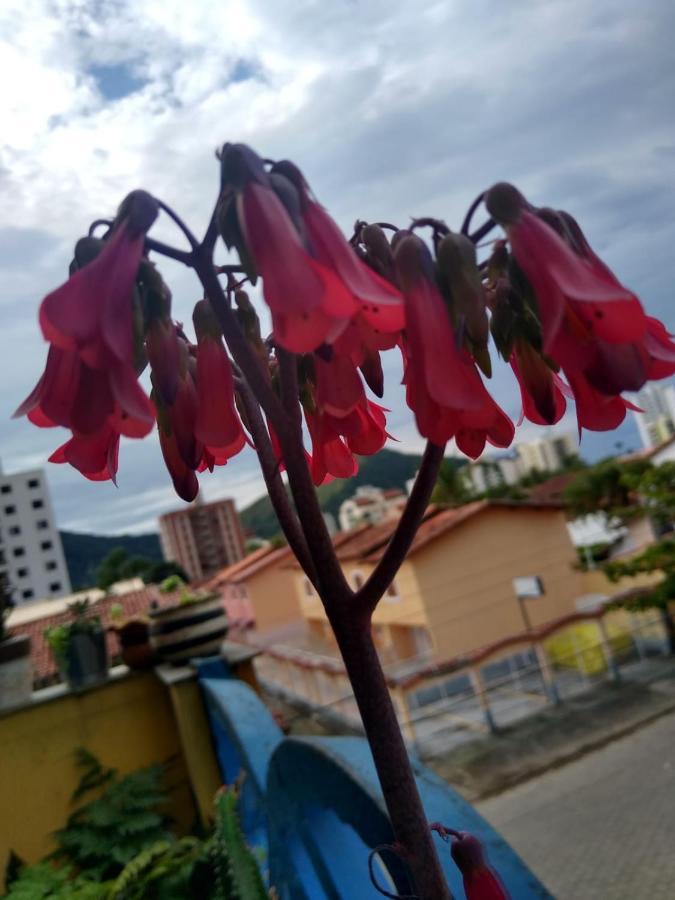 Apartamento Com Piscina Na Martim De Sa Caraguatatuba Eksteriør bilde